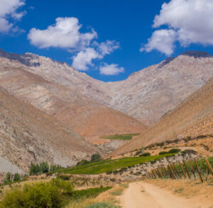 CAVAS DEL VALLE ALCOHUAZ VALLE DE ELQUI1