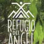 refugio-angel-8