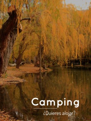 Pagina-Incio-Camping-1