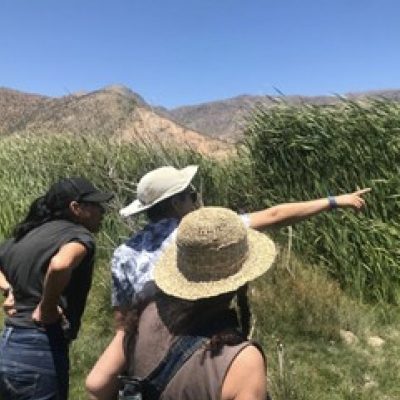 ruta-de-la-totora-2