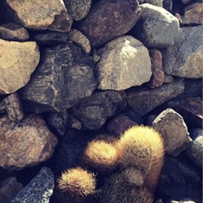 ruta de los patrimonios bioculturales en la comuna de vicuña-2